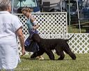 20220615-sw-0005