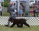 20220615-sw-0153