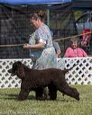 20220615-sw-0721