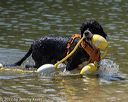 20220806-awd-0034