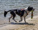20220806-awd-0434