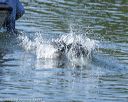 20220806-cwd-0012