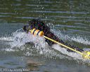 20220806-cwd-0027
