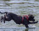 20220806-cwd-0041