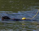 20220806-cwd-0045