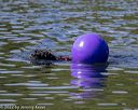 20220806-cwd-0053