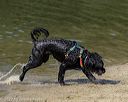 20220806-cwd-0081