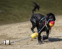 20220806-cwd-0082