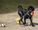 20220806-cwd-0083
