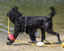 20220806-cwd-0162