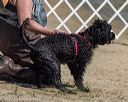 20220806-jwd-0030