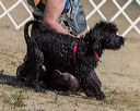 20220806-jwd-0031