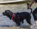 20220806-jwd-0045