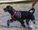20220806-jwd-0046