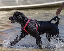 20220806-jwd-0047