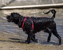 20220806-jwd-0048