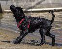 20220806-jwd-0050