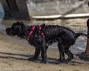 20220806-jwd-0051