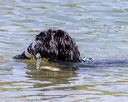20220806-jwd-0064