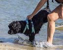 20220806-jwd-0075