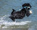 20220806-jwd-0083