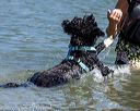 20220806-jwd-0089