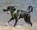 20220806-jwd-0103