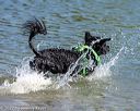 20220806-jwd-0111