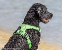 20220806-jwd-0131
