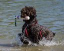 20220806-jwd-0156
