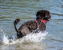 20220806-jwd-0167