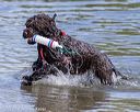 20220806-jwd-0174