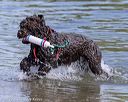 20220806-jwd-0175