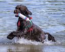 20220806-jwd-0179