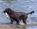 20220806-jwd-0181