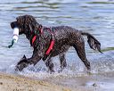 20220806-jwd-0182