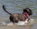 20220806-jwd-0191
