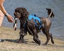 20220806-jwd-0220