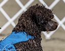 20220806-jwd-0223