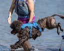 20220806-jwd-0233