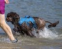 20220806-jwd-0241