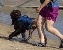 20220806-jwd-0243