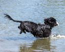 20220806-jwd-0259