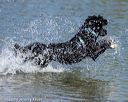 20220806-jwd-0278