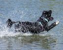 20220806-jwd-0279