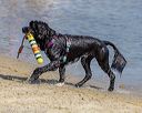 20220806-jwd-0288