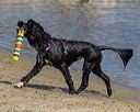 20220806-jwd-0289