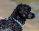 20220806-jwd-0292