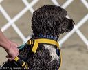 20220806-jwd-0317