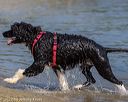 20220806-jwd-0351